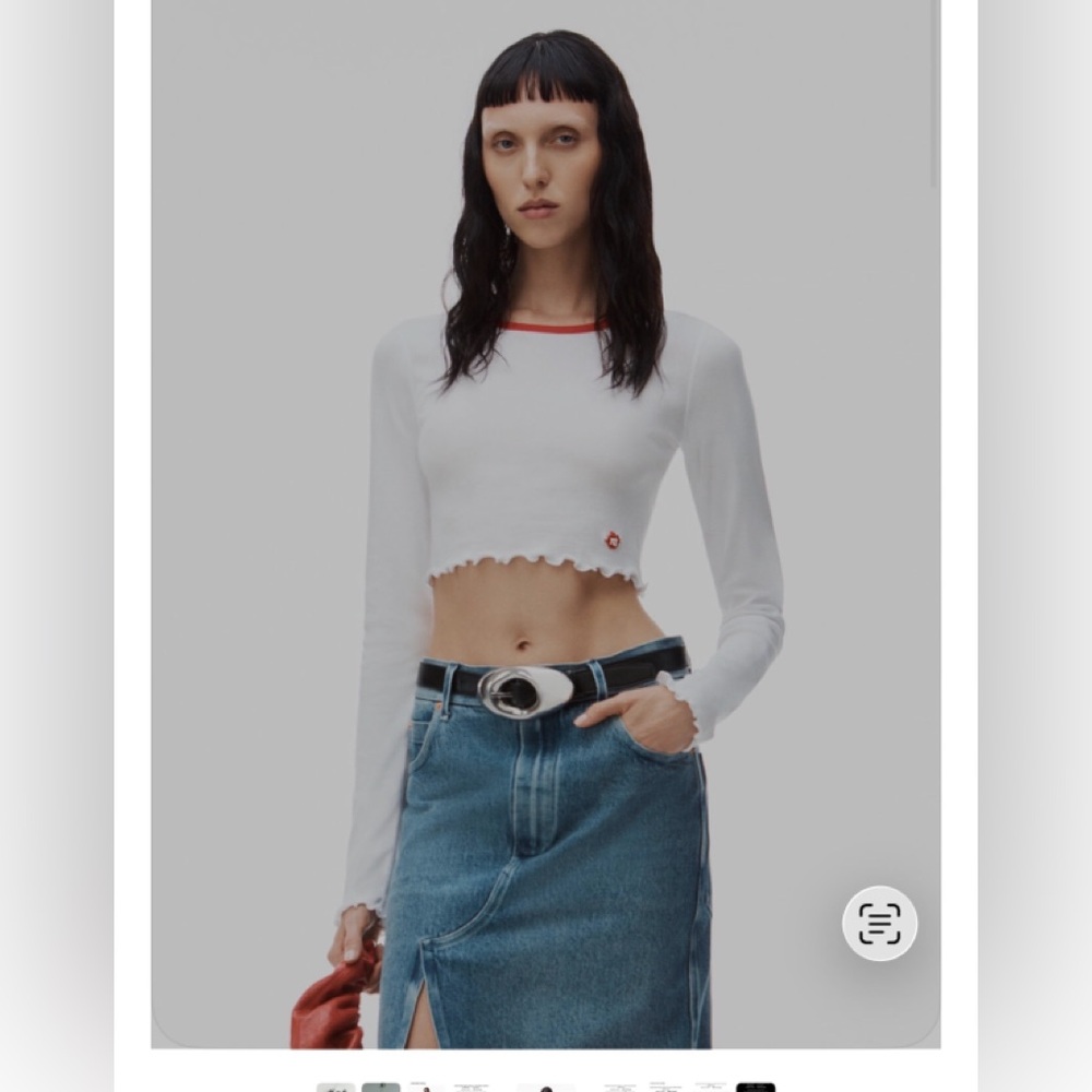 Alexander Wang Apple T